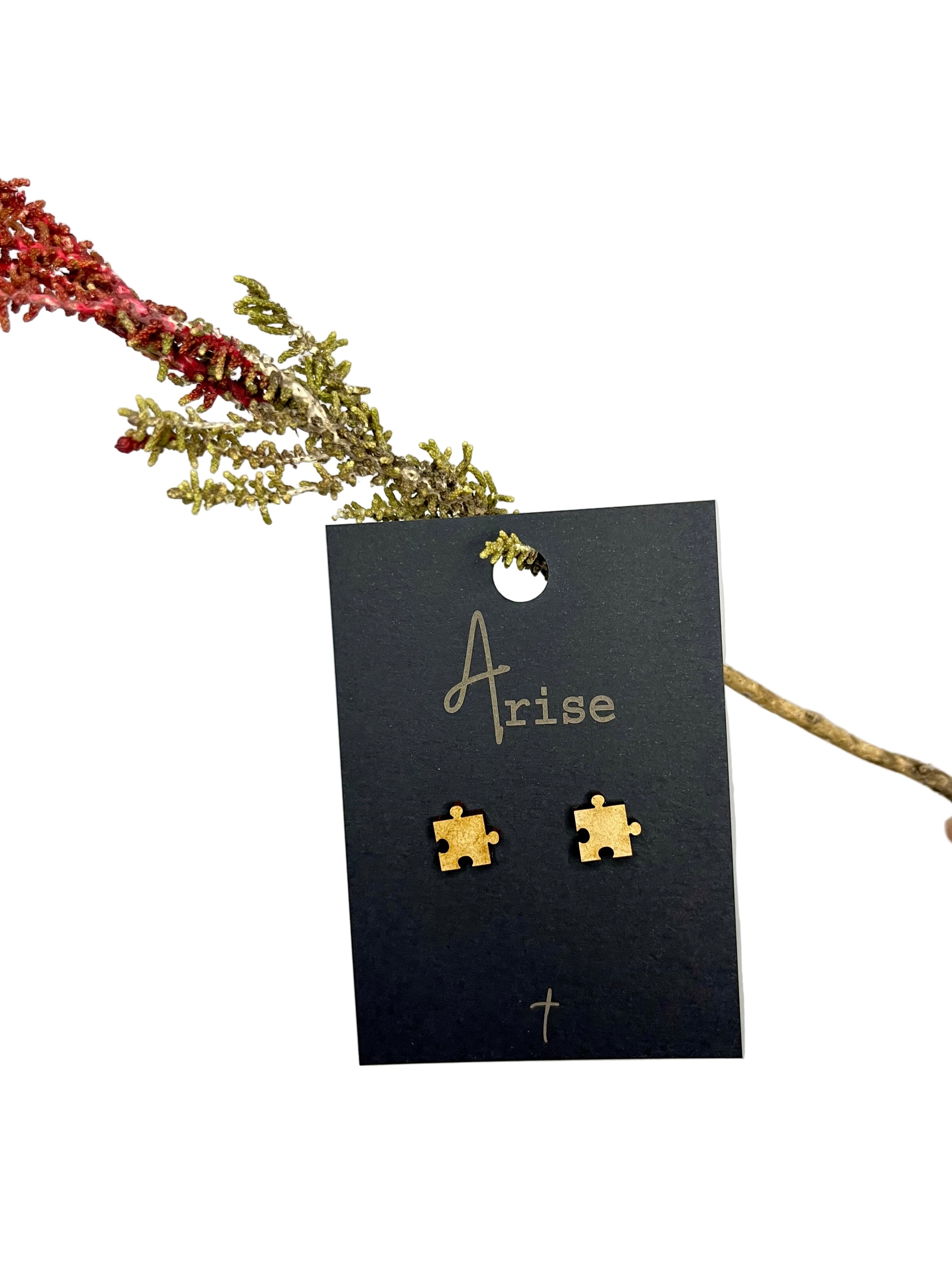 Puzzel Earrings Studs